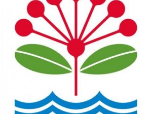 Auckland Council Inflatables Vendor – East Inflatables