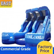 Double Water Slide Inflatable