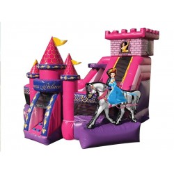 3-D Princess Combo