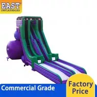 Big Inflatable Slide