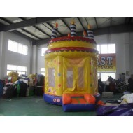 Birthday Bouncy Castle Birthday Bouncy Castle