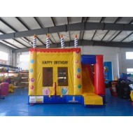 Bouncy Castle Birthday Party Bouncy Castle Birthday Party