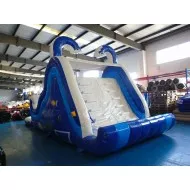 Backyard Inflatable Pool Slide