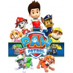 Paw Patrol 