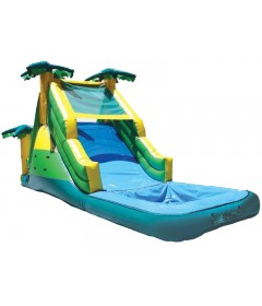Inflatable Water Slide