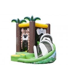 Bounce House With Slide